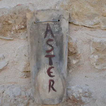 Poliana Estate * Riglia