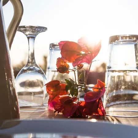 Poliana Estate شقة