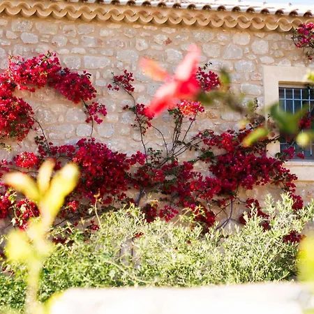 Poliana Estate Villas Apartman Rínglia