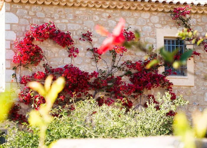 Poliana Estate Villas Apartman Rínglia